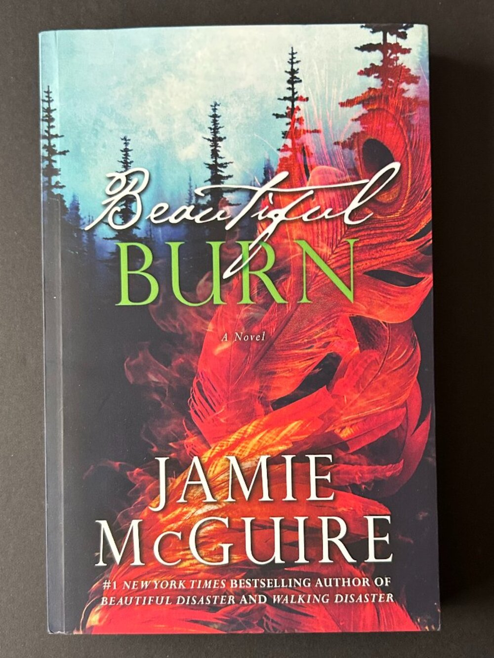 4 for $20 📚 | Beautiful Burn by Jamie McGuire  | SIGNED | Paperback Book